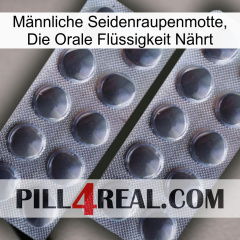 Männliche Seidenraupenmotte, Die Orale Flüssigkeit Nährt 31